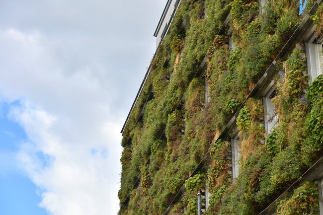 Klimafassaden: Gebäudehülle mit Klimaeffekt
