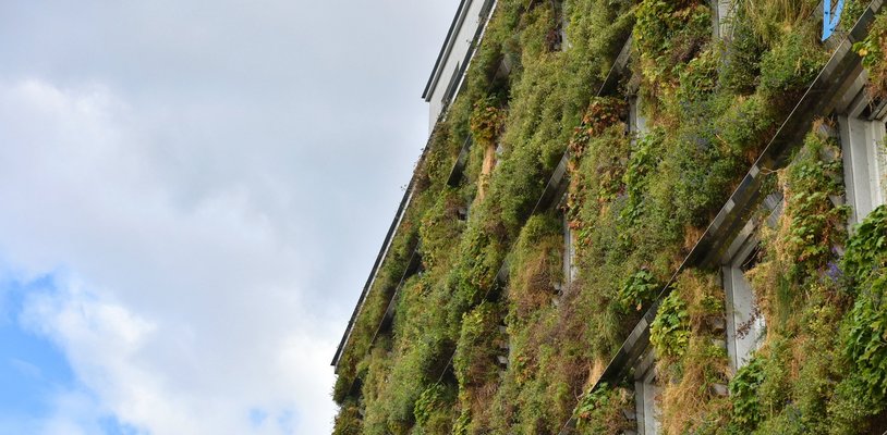 Klimafassaden: Gebäudehülle mit Klimaeffekt